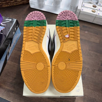 CSEF Nike SB Dunk Low (USED, No Lid)