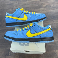 Bubbles Powerpuff Girls Nike SB Dunk Low (USED)