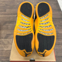University Gold Jordan 12 (USED, Replacement Box)