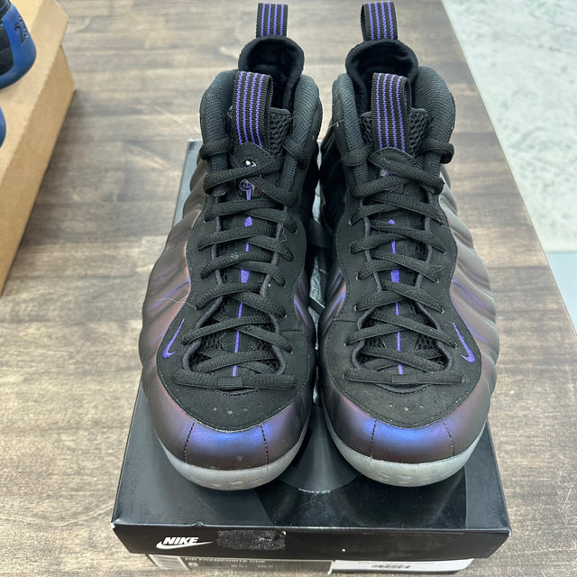 Eggplant Foamposite (USED)