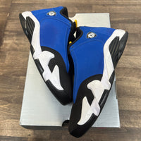 Laney Jordan 14 (2023) (USED)