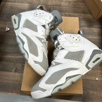 Cool Grey Jordan 6 Retro (USED, No Box)