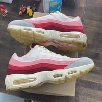 Anatomy Air Max 95 (USED, No Box)