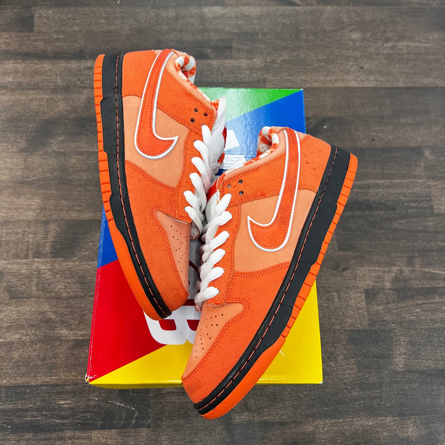 Orange Lobster Sb Dunk Low (USED)