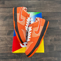Orange Lobster Sb Dunk Low (USED)