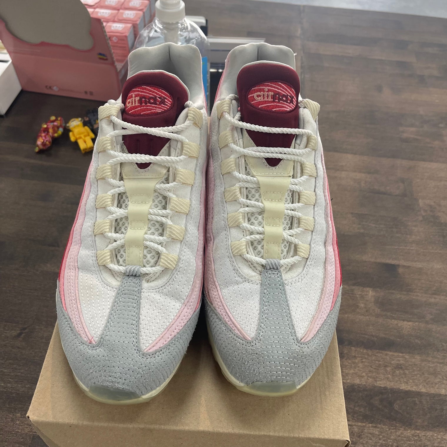 Anatomy Air Max 95 (USED, No Box)