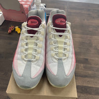 Anatomy Air Max 95 (USED, No Box)