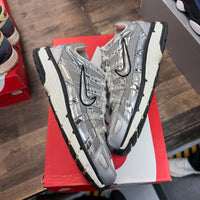 Metallic Silver Nike P-6000 (USED)