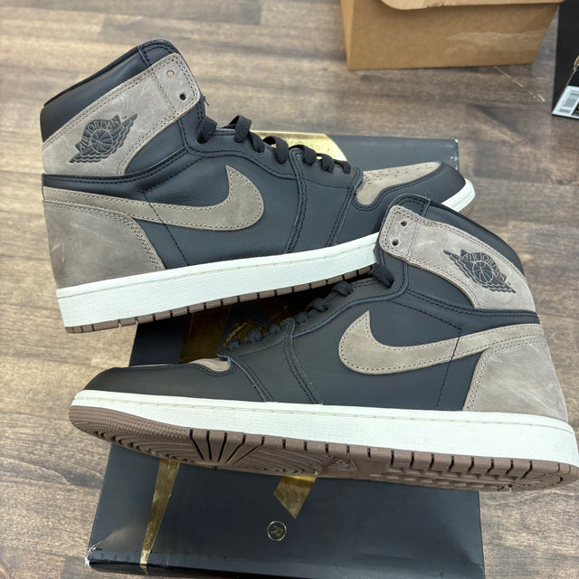 Palomino Jordan 1 High (USED)