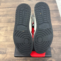 Dark Mocha Jordan 1 High (USED)