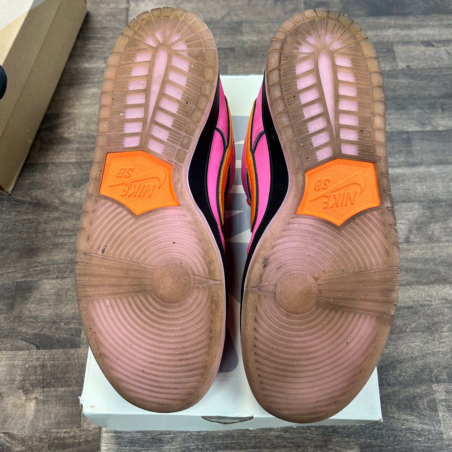 The Powerpuff Girls Blossom SB Dunk Low (USED)