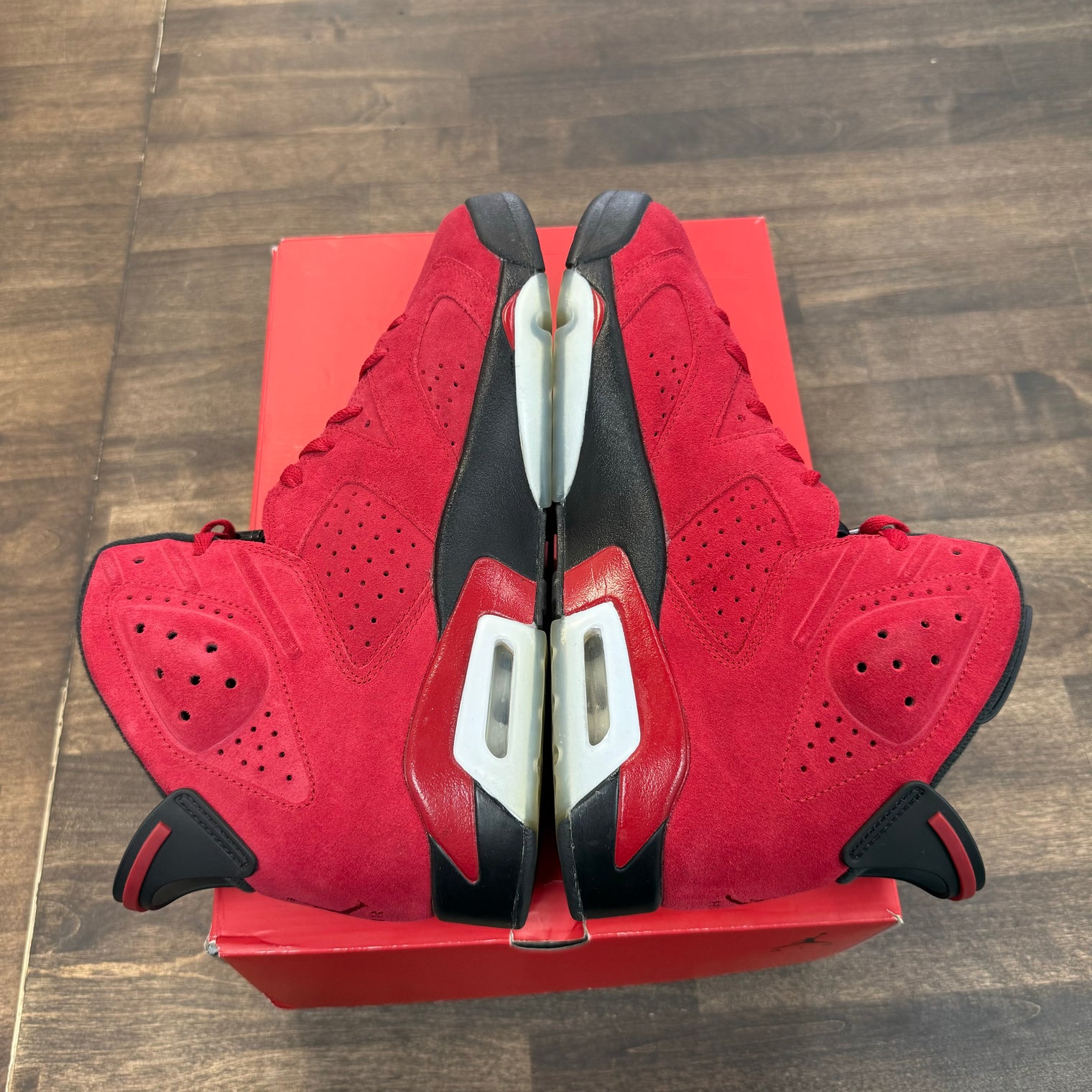 Toro Bravo Jordan 6 (USED)