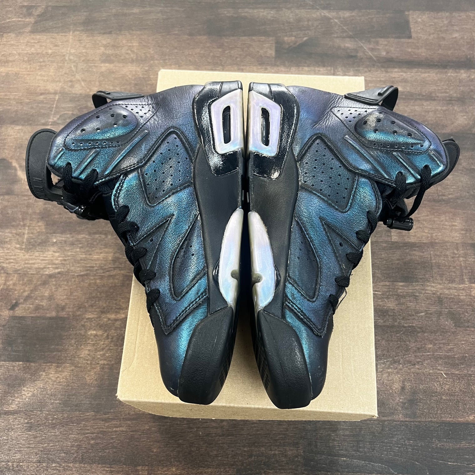Chameleon Jordan 6 Retro (USED)
