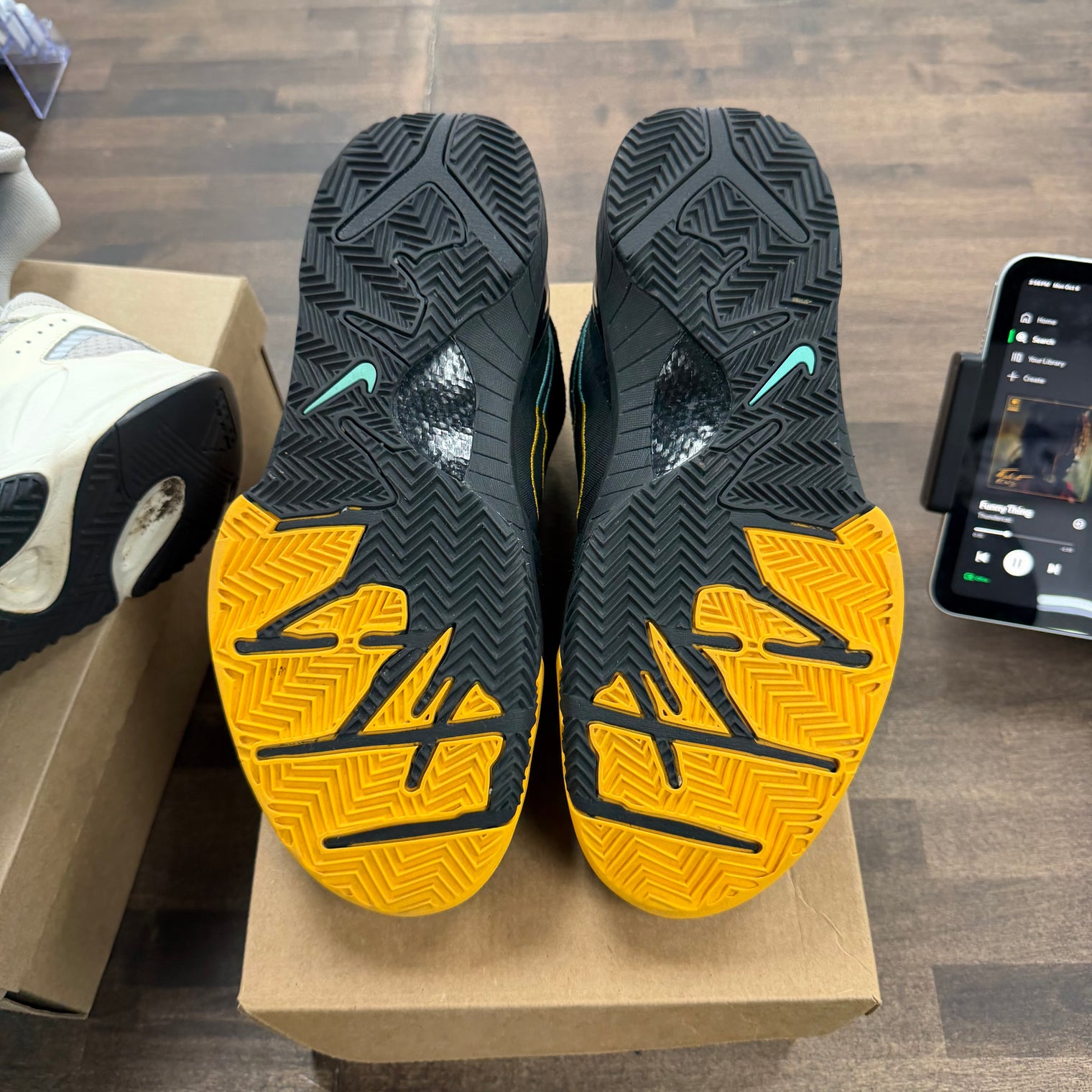 Snakeskin Nike Kobe 4 Protro (USED, No Box)