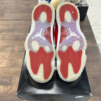 Cherry Jordan 11 (USED)