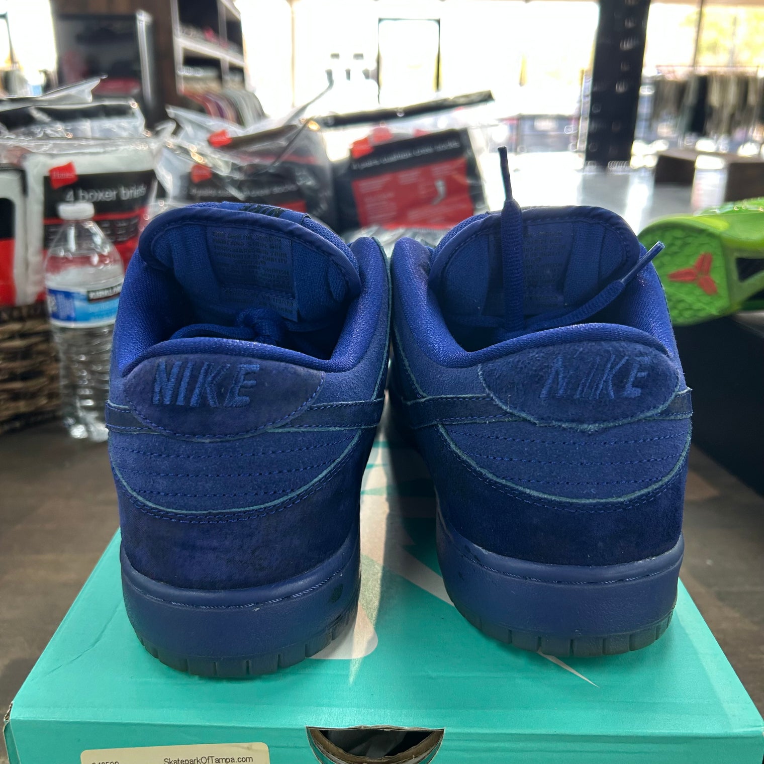 Blue Moon Nike SB Dunk Low (USED)