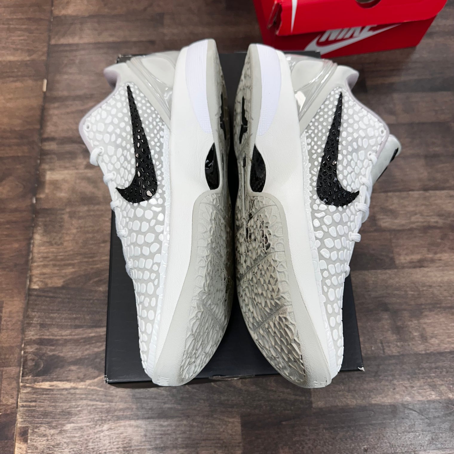 All Star Kobe 6 Protro (USED)