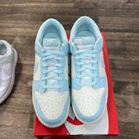 Arctic Blue Nike Dunk Low (USED, No Box)