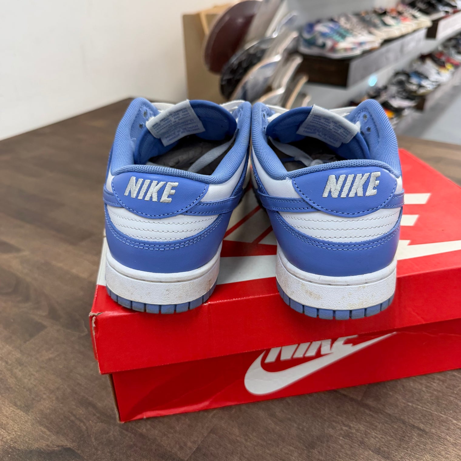 Polar Blue Dunk Low (USED)