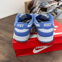 Polar Blue Dunk Low (USED)