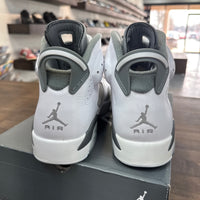 Cool Grey Jordan 6 (Lightly Worn)