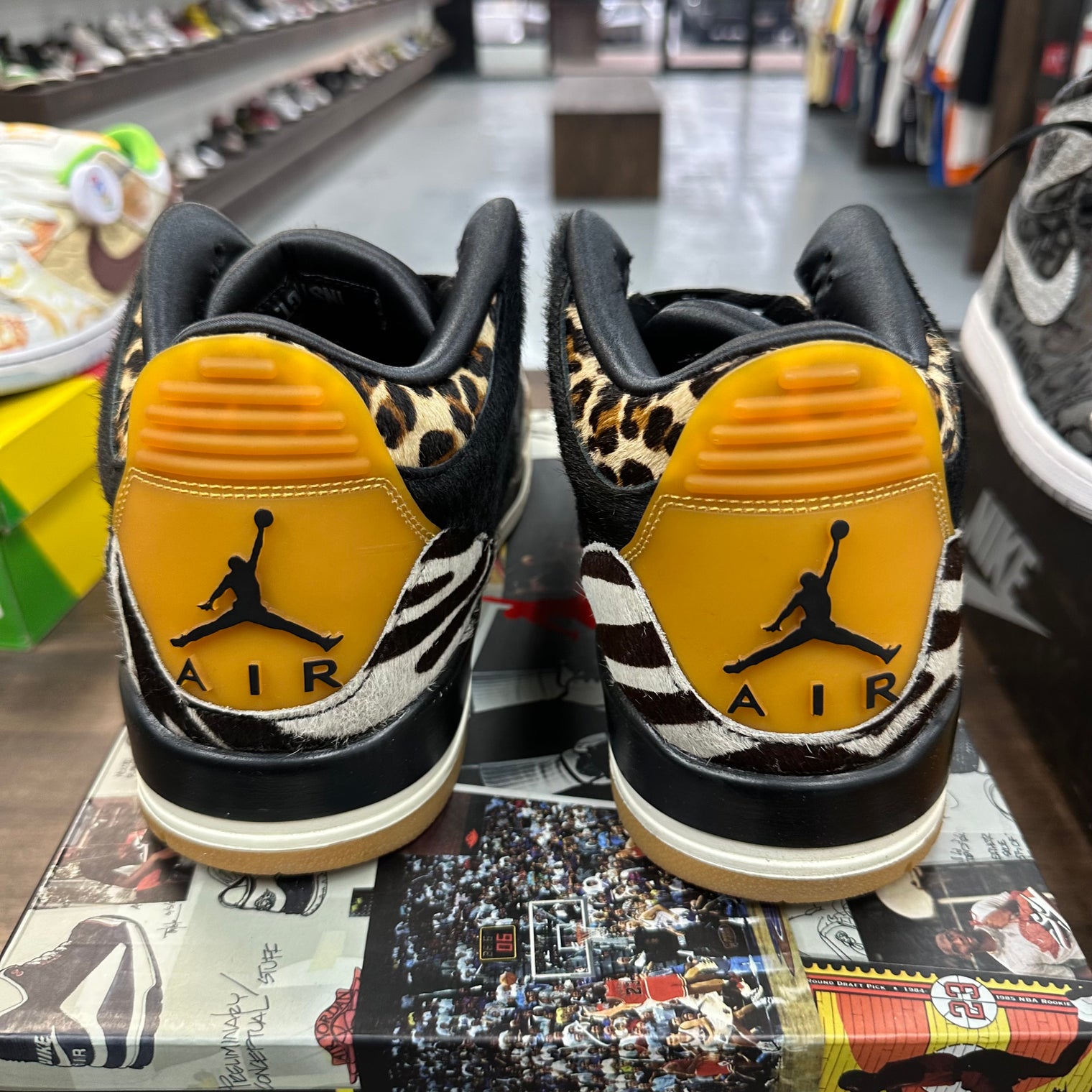 Animal Instinct Jordan 3 (USED)
