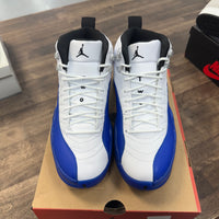 Blueberry Jordan 12 (USED)