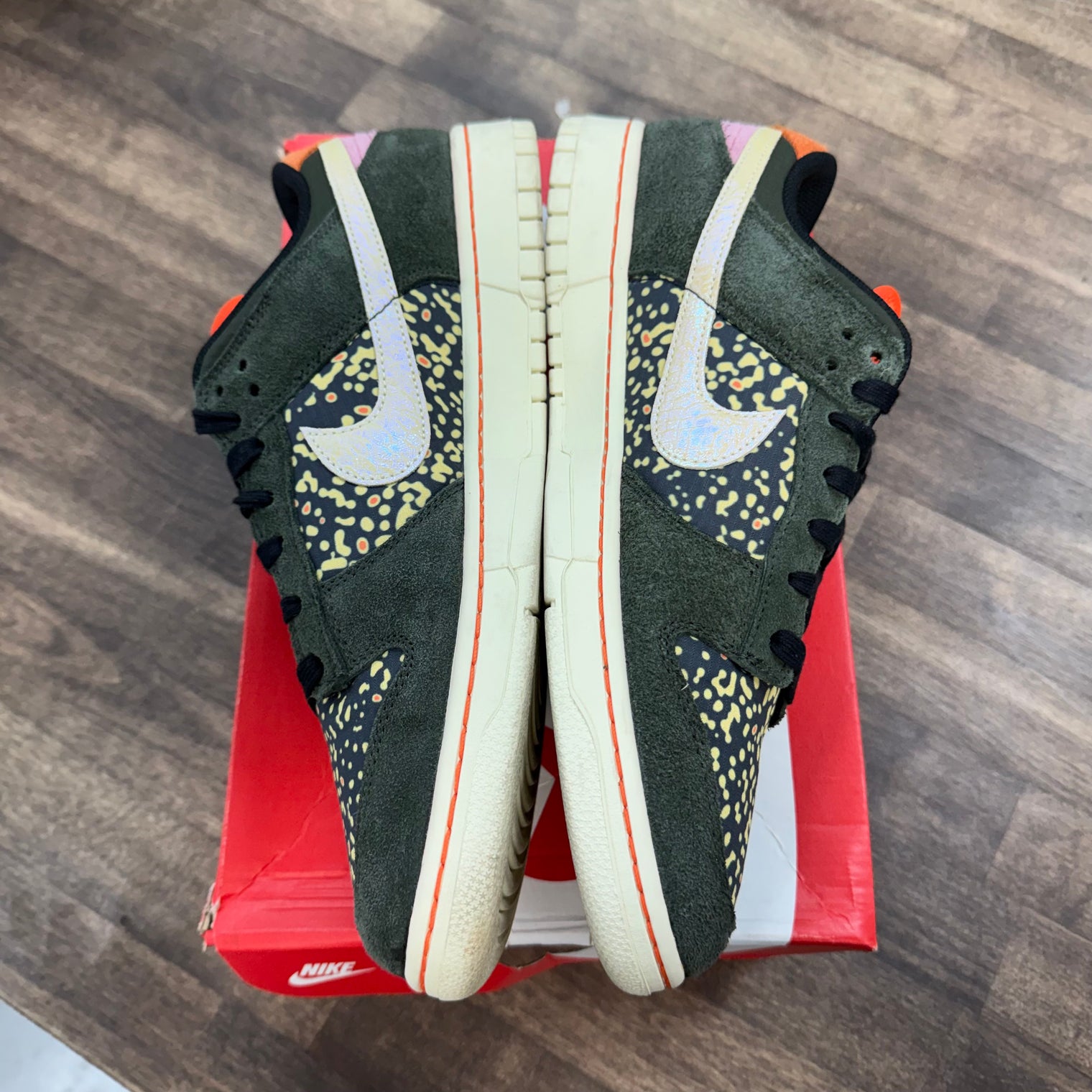 Gone Fishing Rainbow Trout Nike Dunk Low SE (USED)