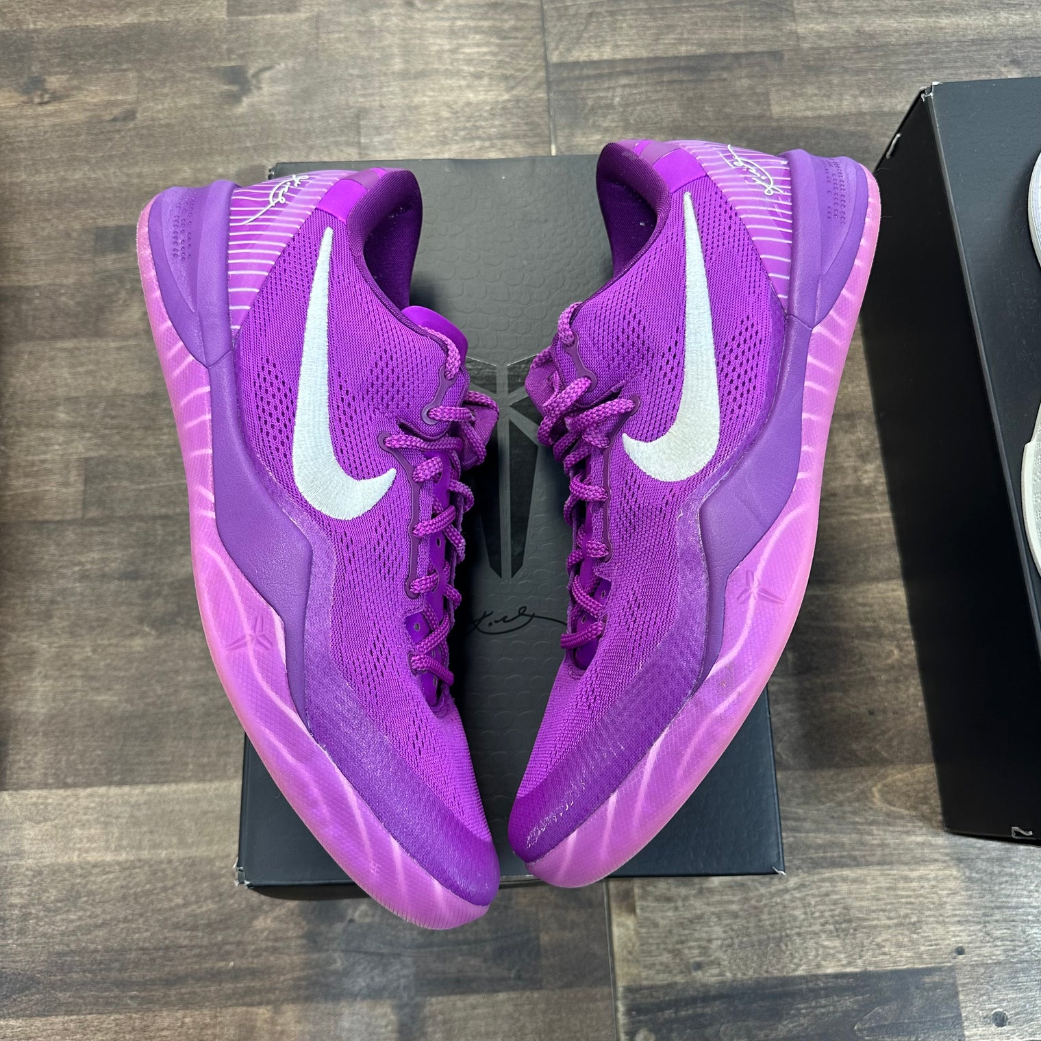 EYBL Kobe 8 Protro (USED)