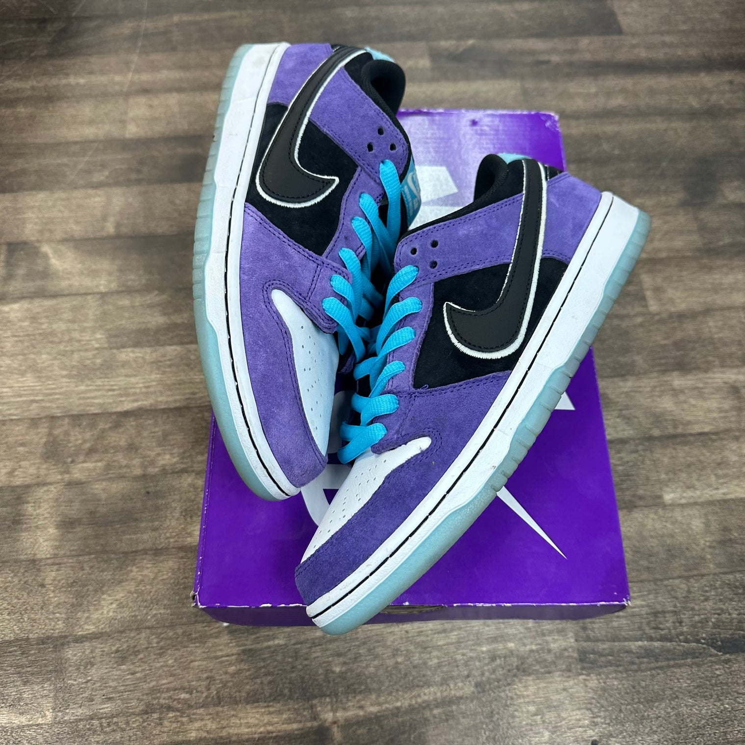 Hayley WIlson Nike SB Dunk low (USED)