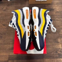 Michigan Air Max 95 (USED)