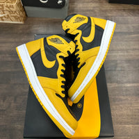 Pollen Jordan 1 High (USED)