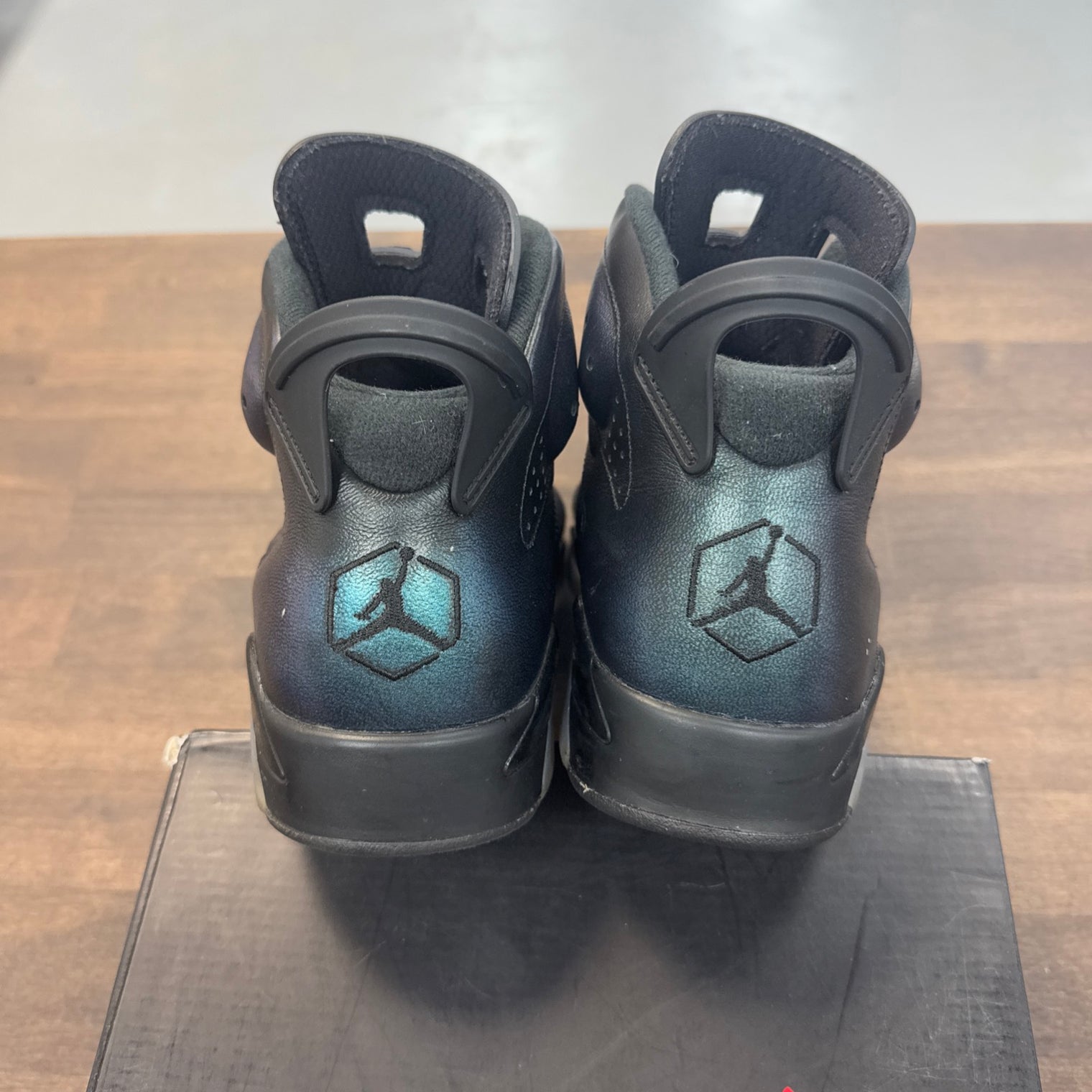 All Star Chameleon Jordan 6 (USED)