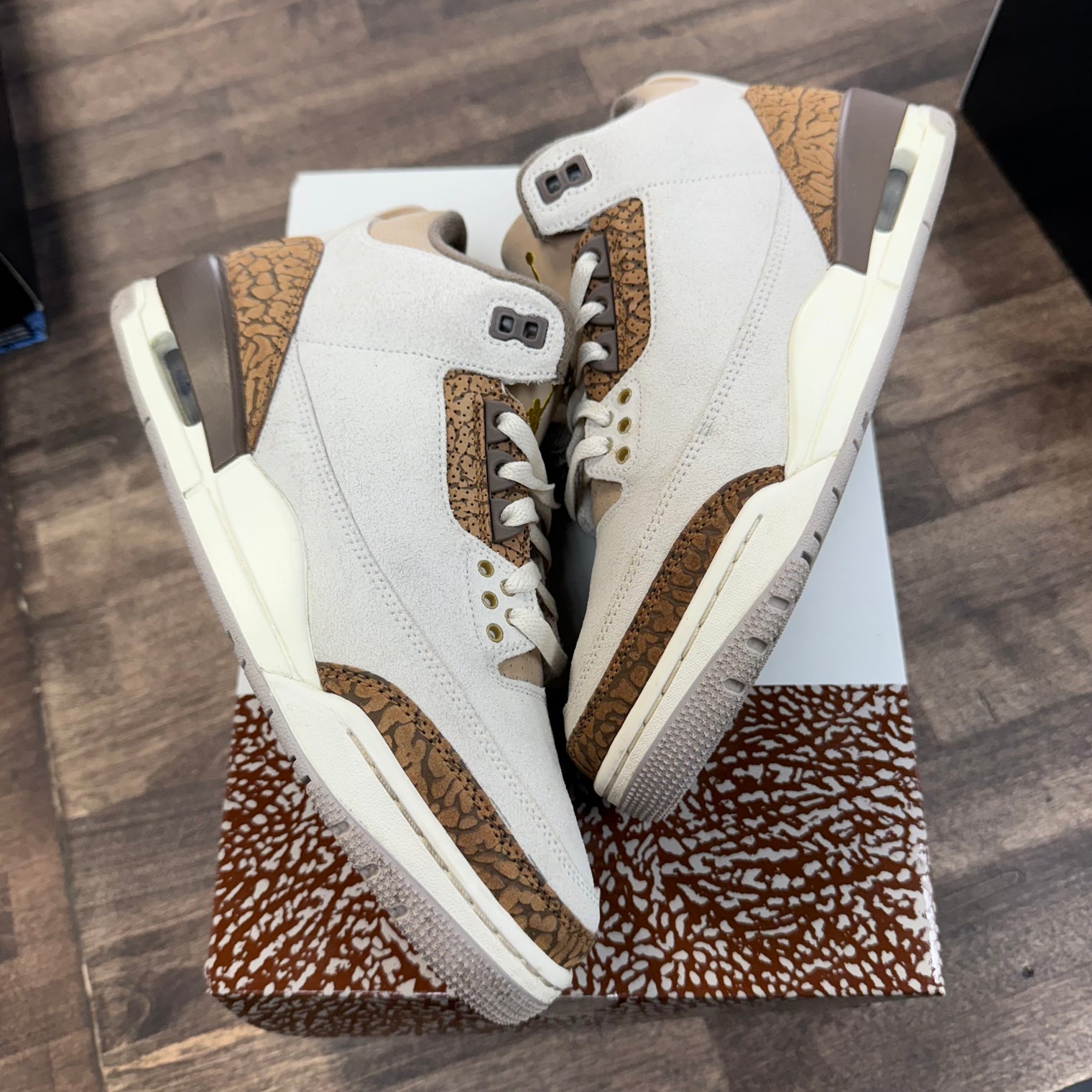 Palomino Jordan 3 Retro (USED)