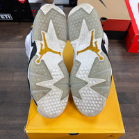 Yellow Ochre Jordan 6 (USED)