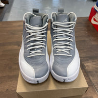 Stealth Jordan 12 (USED, No Box)
