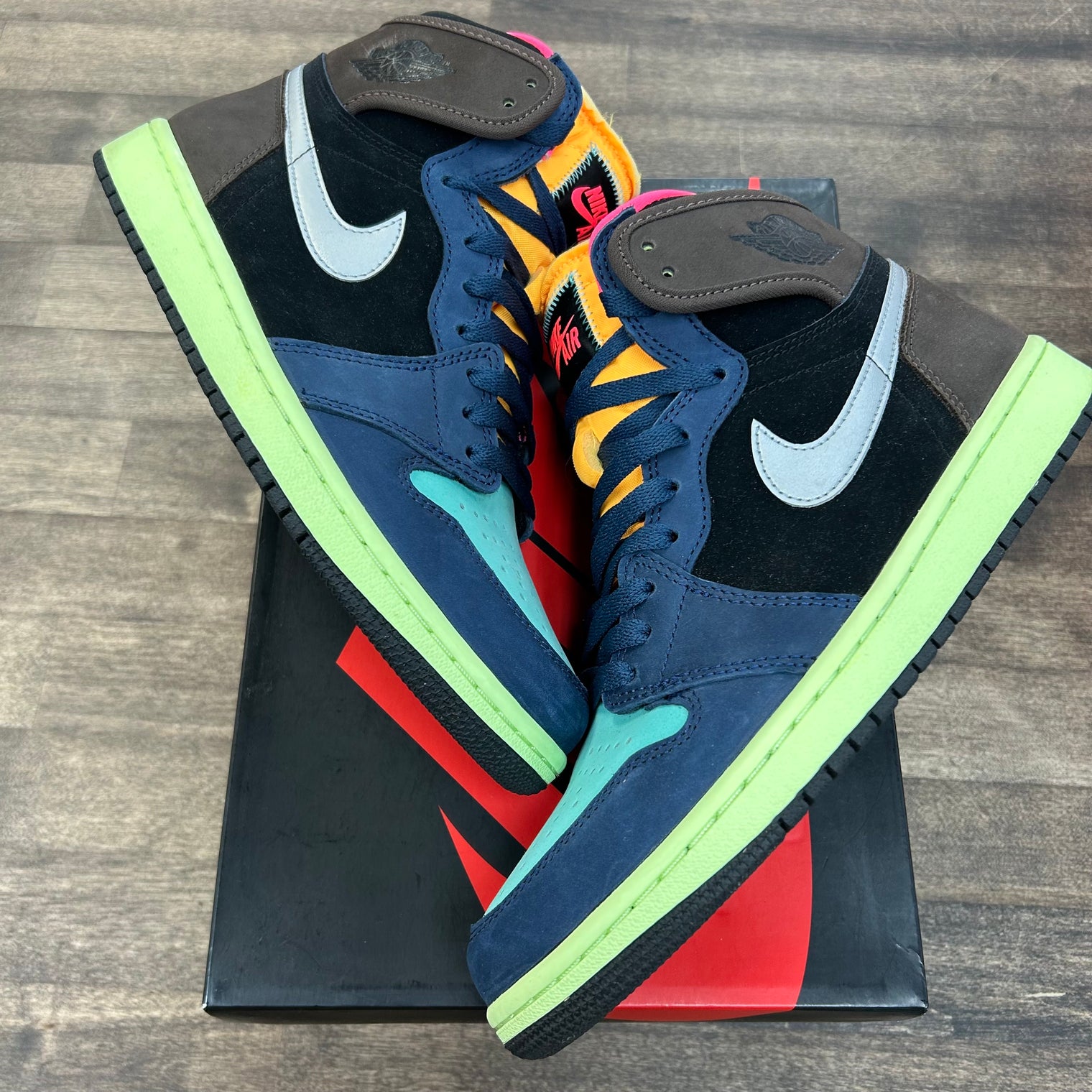 Bio Hack Jordan 1 High (USED)