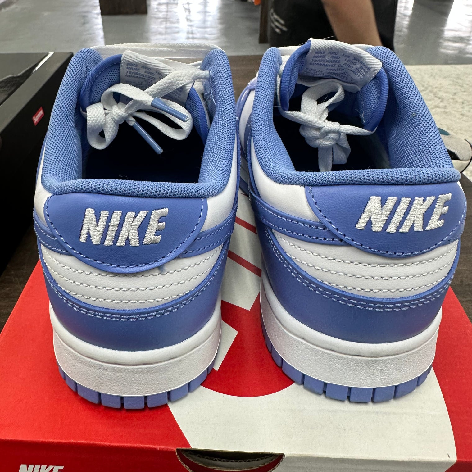 Polar Blue Dunk Low (USED)