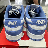 Polar Blue Dunk Low (USED)