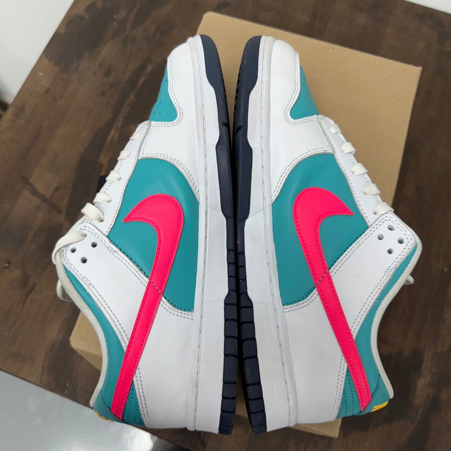 Dusty Cactus Nike Dunk Low (USED,No Box)