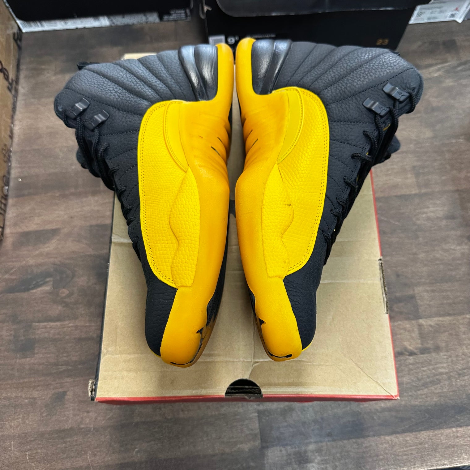 University Gold Jordan 12 (USED)