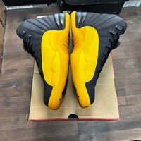 University Gold Jordan 12 (USED)