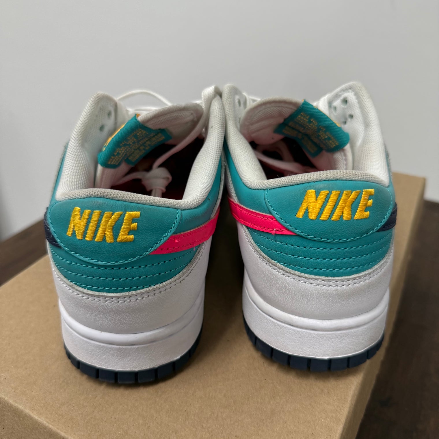 Dusty Cactus Nike Dunk Low (USED,No Box)