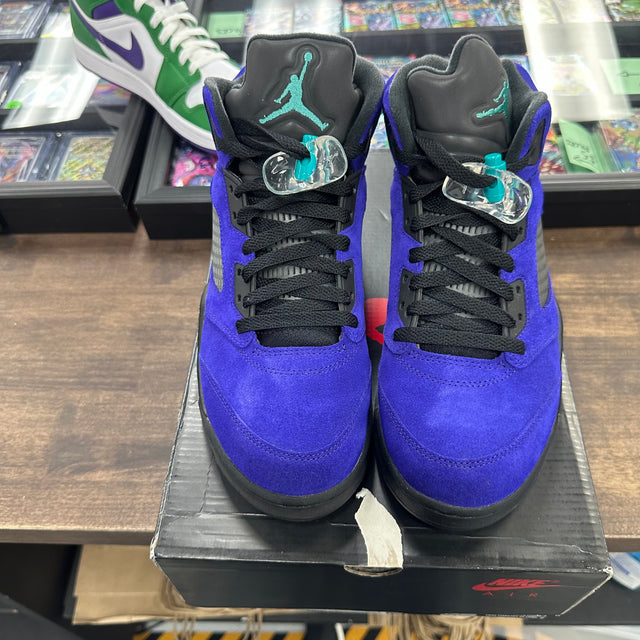 Alternate Grape Jordan 5 (USED)