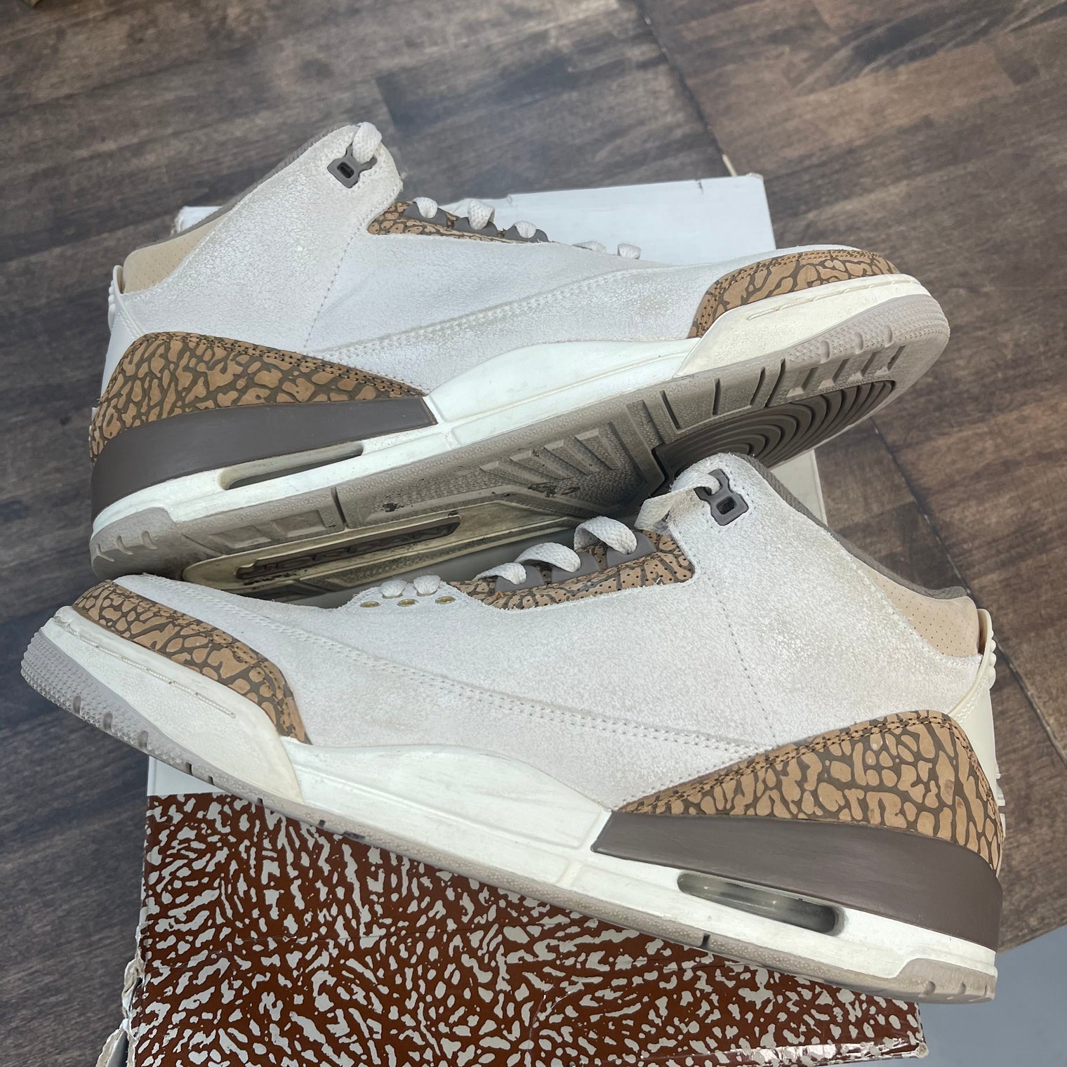 Palomino Jordan 3 (USED)