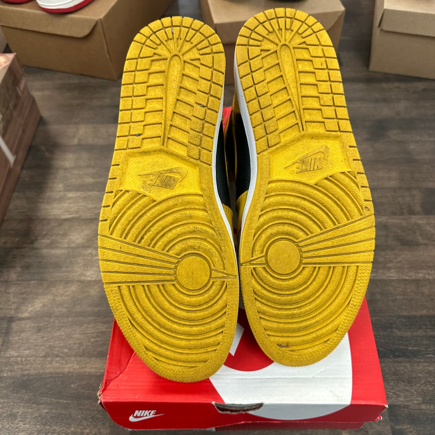Pollen Jordan 1 High (USED, No Box)