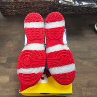 Ebay Sandy Nike SB Dunk Low (USED)
