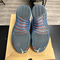 French Blue Jordan 12 (USED)