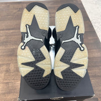 Chrome Jordan 6 Retro (USED)