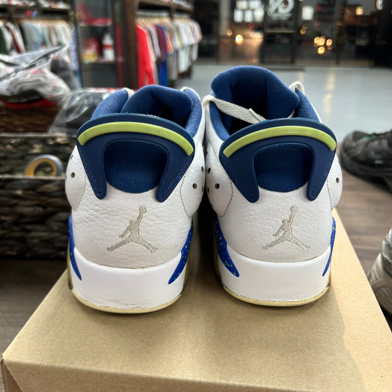 Jordan 6 Retro Low Ghost Green (USED, No Box)